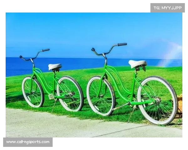 德国启用自行车高速公路 高架桥贯通十大城市实现绿色出行新模式 德国启用自行车高速公路 高架桥贯通十大城市实现绿色出行新模式